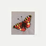 Photo of one of our needle-felt butterfly pictures